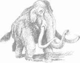 ��������� - � �������� � �� ��������