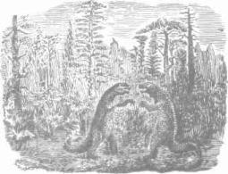 ��������� - � �������� � �� ��������