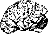 ��������� - � �������� � �� ��������