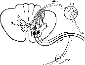 ��������� - � �������� � �� ��������