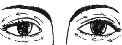 ���� - ������������� ���������� ����