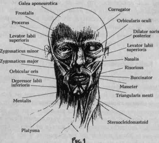 ���� - ������������� ���������� ����