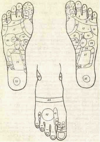 �������� - ����� �������� � ���������