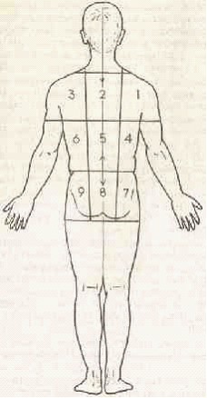 �������� - ����� �������� � ���������