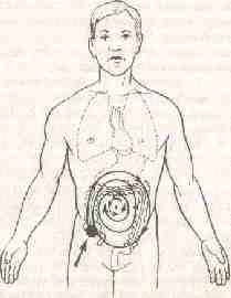 �������� - ����� �������� � ���������