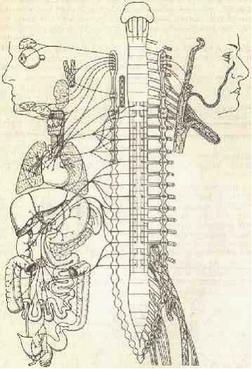 �������� - ����� �������� � ���������