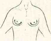 �������� - ����� �������� � ���������