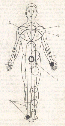 �������� - ����� �������� � ���������