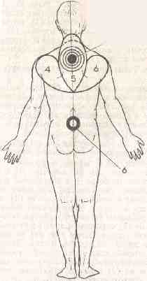 �������� - ����� �������� � ���������