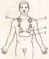 �������� - ����� �������� � ���������