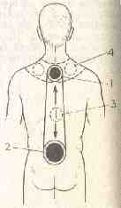 �������� - ����� �������� � ���������