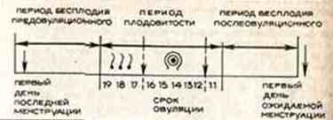 �������� - ����� �������� � ���������