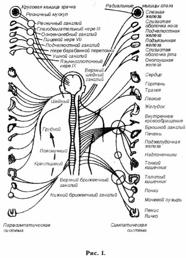 �������� - ����� ���������. ������ � ��������� � ��������