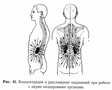 �������� - ����� ���������. ������ � ��������� � ��������