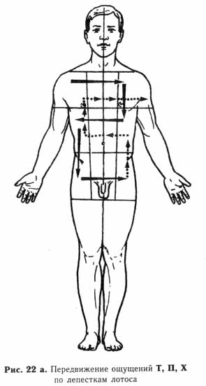 �������� - ����� ���������. ������ � ��������� � ��������