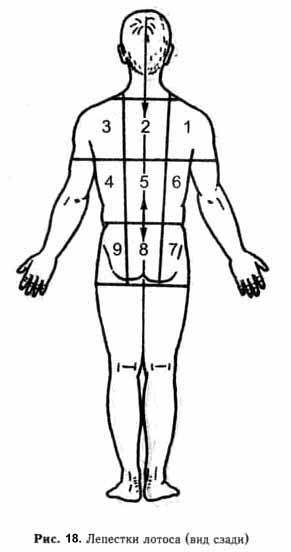 �������� - �������������� ��������