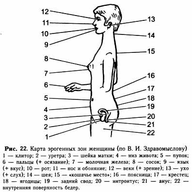 �������� - �������������� ��������