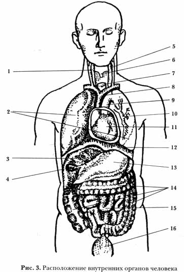 �������� - �������������� ��������