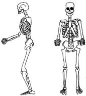 Эллинг М. - Внетрассовое горнолыжное катание