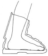 ����������