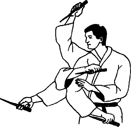 ������ -  ������������ ������� �������. �������