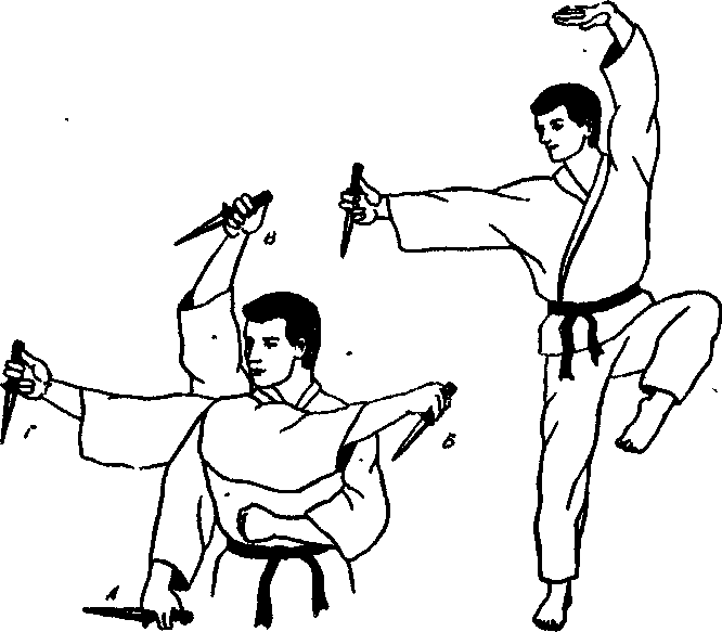 ������ -  ������������ ������� �������. �������