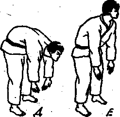 ������ -  ������������ ������� �������. �������