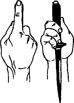 ������ -  ������������ ������� �������. �������