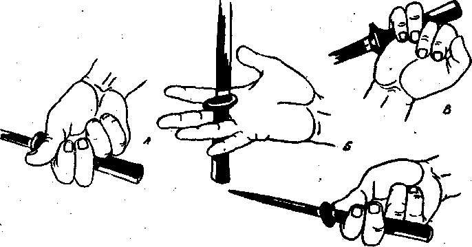 ������ -  ������������ ������� �������. �������