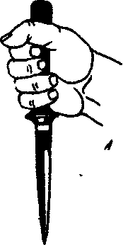 ������ -  ������������ ������� �������. �������