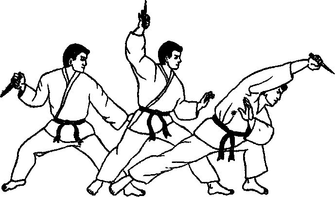 ������ -  ������������ ������� �������. �������