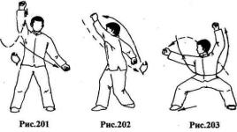 ������ - ��� ��� �����