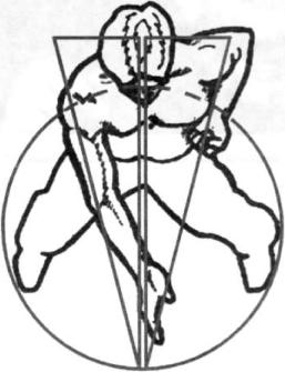 ������ - ����������� ��� ���