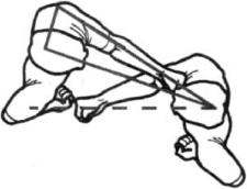 ������ - ����������� ��� ���