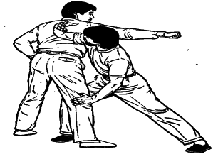 ������� - ������� ���������� �� ����� ���