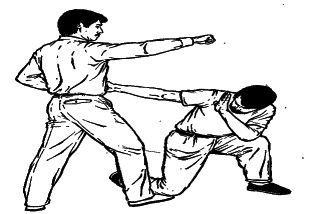 ������� - ������� ���������� �� ����� ���