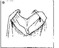 ������ - �����. ������������ ����������� �� ����������� ���