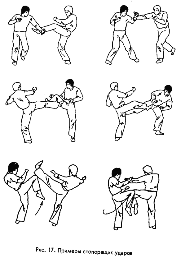 �������� - ������ ������. ����������� �� ����������