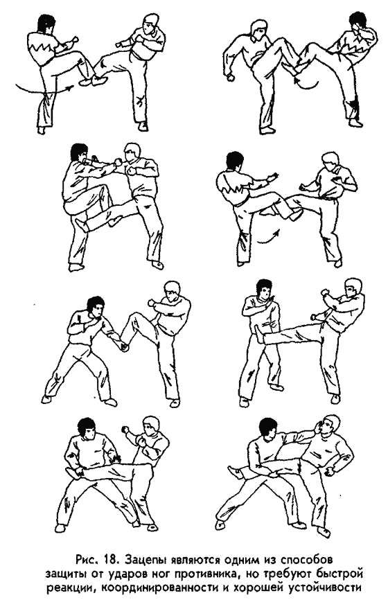 �������� - ������ ������. ����������� �� ����������