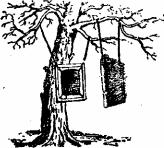 ����� - ������� �������� ���