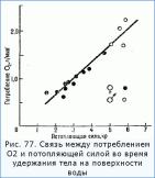 ��������� ���