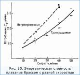 ������������ ����������� ���������