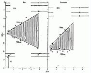 ������������ ����������� ���������