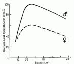 �������, ���������-������� � ���������� ����������� ������