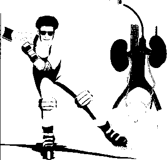 ������ - ���������� ������