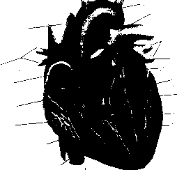 ������ - ���������� ������