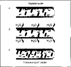 ������ - ���������� ������