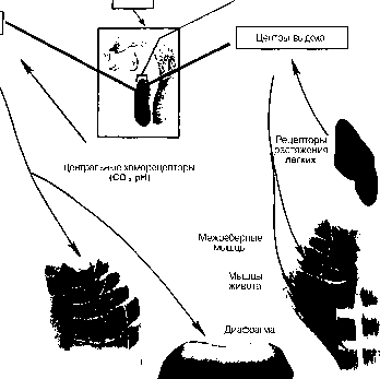 ������ - ���������� ������