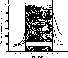 ������ - ���������� ������
