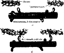 ������ - ���������� ������